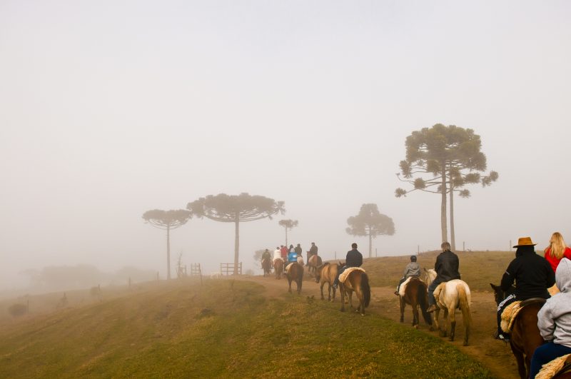 Cavalgada é um dos passeios típicos de Lages, na região serrana – Markito/Santur/Divulgação/ND