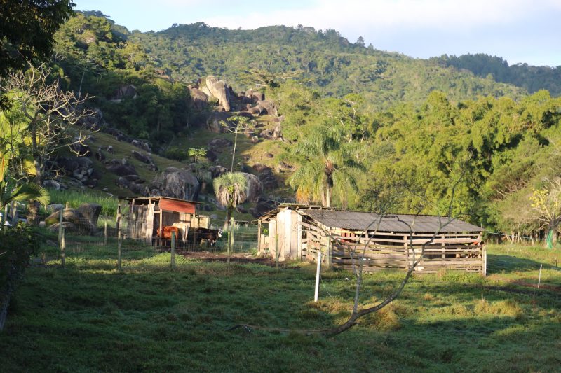 Amanhecer gelado em Florianópolis – Anderson Coelho/ND
