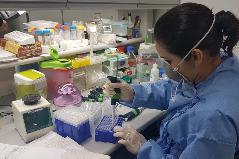 Pesquisadores e cientistas vão trabalhar em conjunto com o Ministério da Saúde para desenvolver pesquisas e entender a modelagem do coronavírus – Foto: Sumaia Villela/Agência Brasil/Divulgação/ND