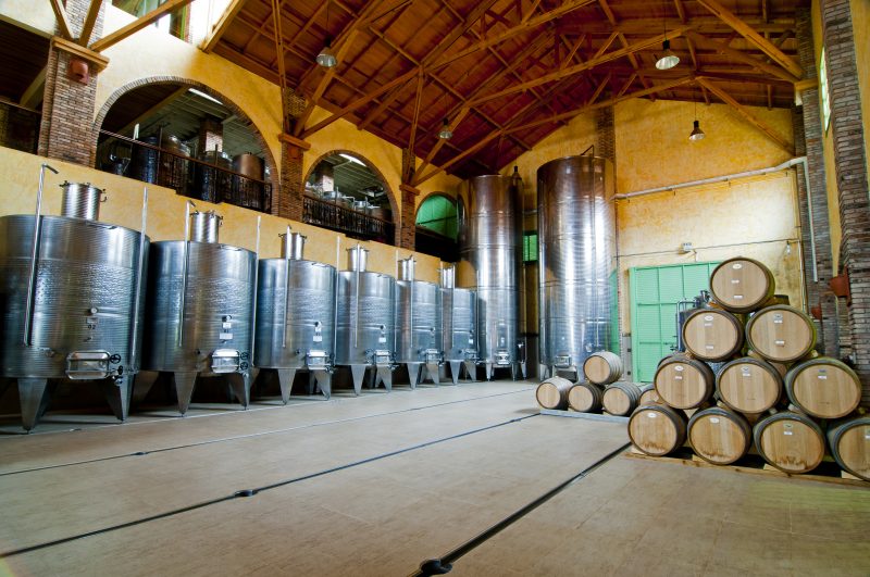 Vinícola Villa Francioni tem visitação aos vinhedos, que produzem vinhos de rótulo nacional e internacional – Markito/Santur/Divulgação/ND