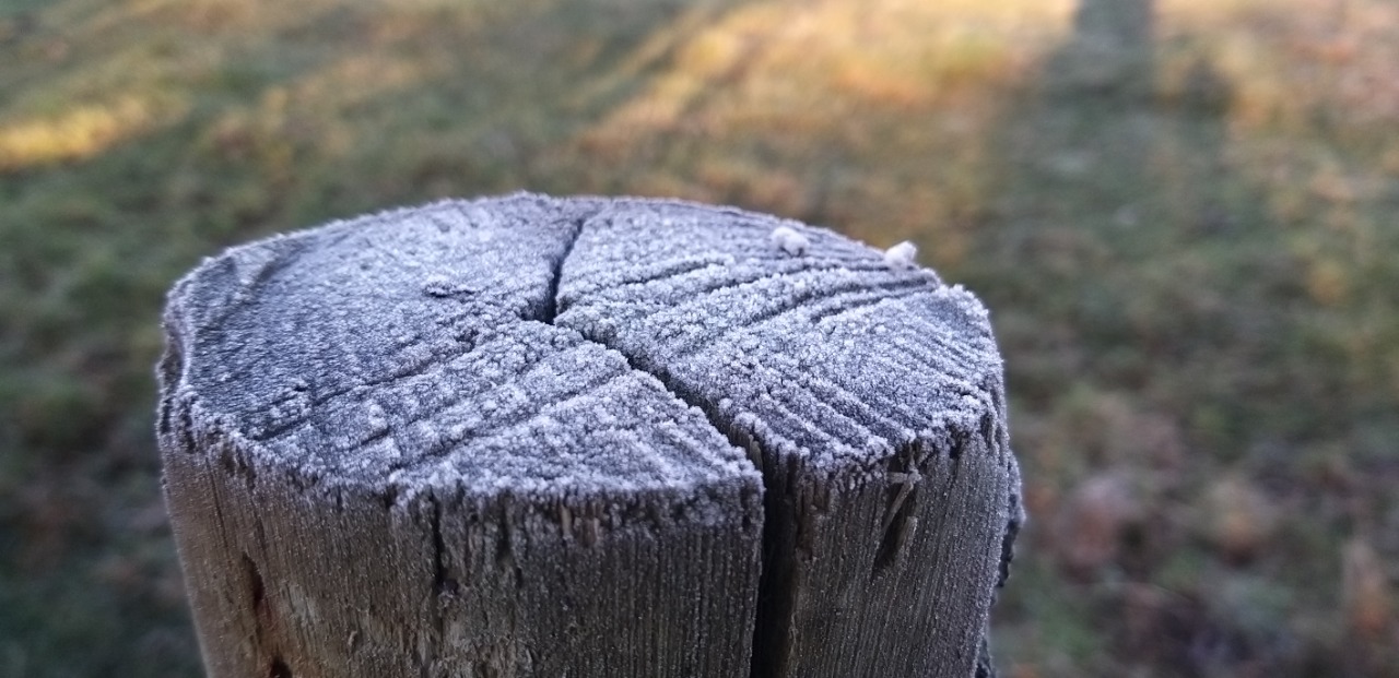 Enquanto a geada e o frio prevalecem em São Joaquim, Previsão do tempo aponta, ainda, sol e ventos fortes no litoral, além de mar agitado. - Wagner Urbano/RIC TV