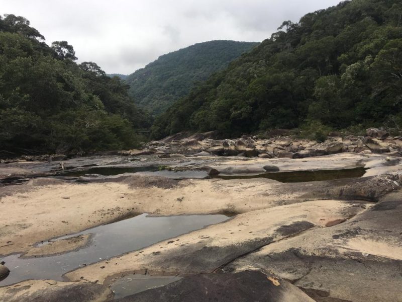 Rio Vargem do Bra&ccedil;o principal capta&ccedil;&atilde;o da Casan costuma passar por per&iacute;odos de baixo n&iacute;vel de &aacute;gua – Foto: Divulga&ccedil;&atilde;o/ND