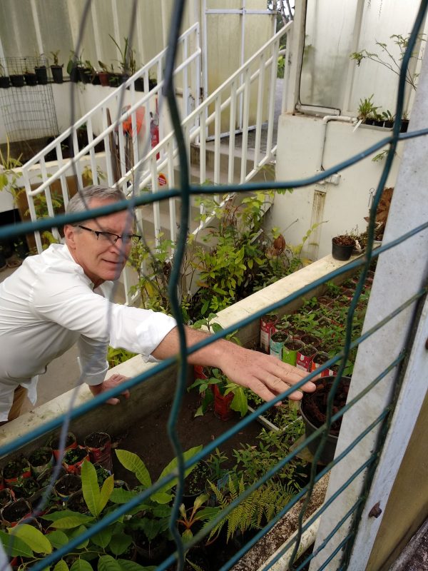 Diretor aponta o vaso onde ficava a brom&eacute;lia furtada pela tela de prote&ccedil;&atilde;o – Marcela Ximenes/ND