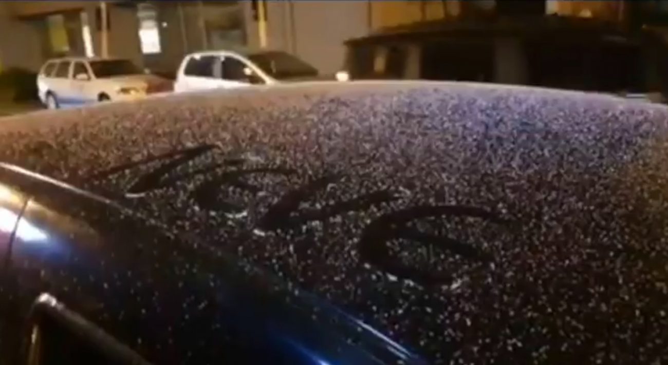 São Joaquim registrou neve mais uma vez neste final de semana - São Joaquim Online/Reprodução/RICTV