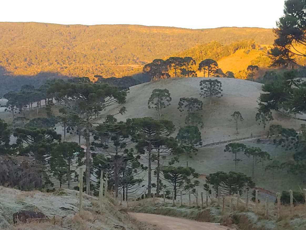 Geada em paisagem de Rancho Queimado - Reprodução/RICTV
