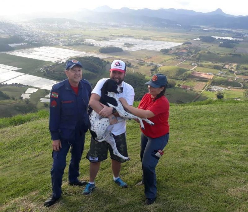 Cachorra foi resgatada ap&oacute;s cair em uma ribanceira de 20 metros, em Gaspar – CBMSC/Divulga&ccedil;&atilde;o/ND
