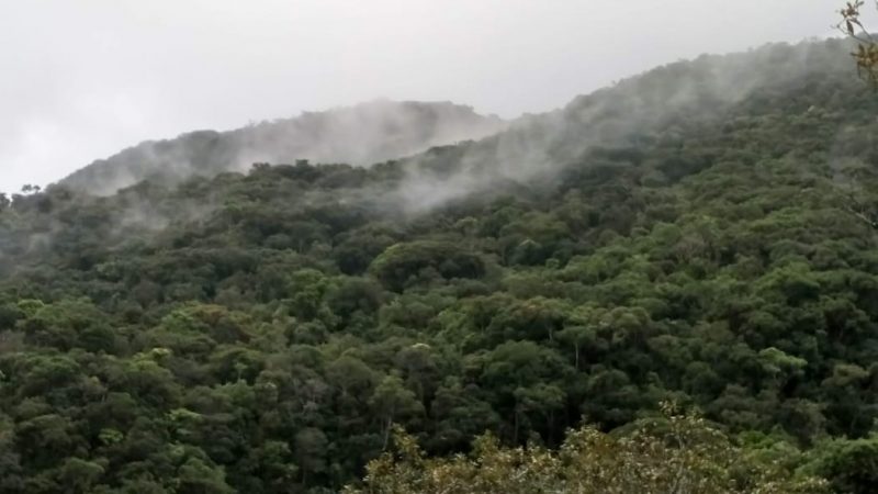 Revisão do código ambiental é alvo de ADIs movidas pelo MP de SC