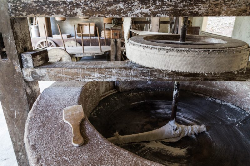 Com a proibi&ccedil;&atilde;o do uso de bois, engenhos passaram a utilizar motor – Anderson Coelho/ND