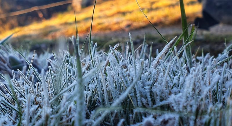 De acordo com a Epagri, durante esse mês há a possibilidade de dias de frio intenso, com temperaturas negativas e formação de geada. – Foto Mycchel Legnaghi