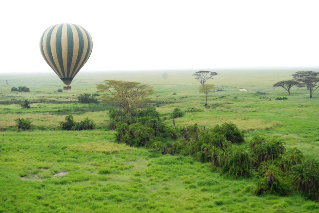 Serengeti, Tanzânia - Pixabay - Pixabay /Rota de Férias/ND