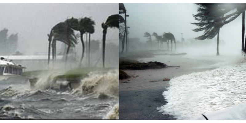 Fotos originais mostram que golfinhos voadores eram montagem – Reprodução Facebook