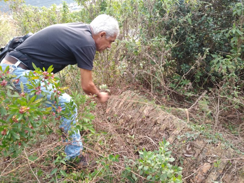 Valter Euclides das Chagas mostra pilar de engenho de farinha na Lagoa Pequena – Andr&eacute;a da Luz/ND