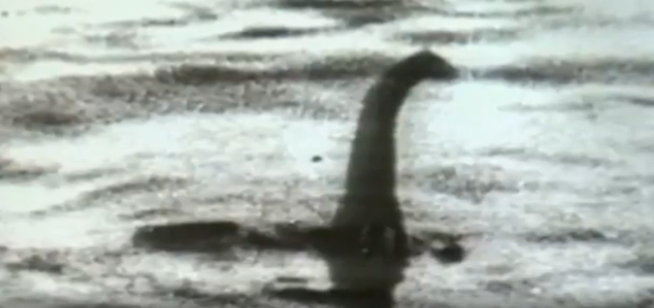 DNA sugere que ‘monstro’ do Lago Ness pode ser enguia gigante&nbsp;– Reprodu&ccedil;&atilde;o