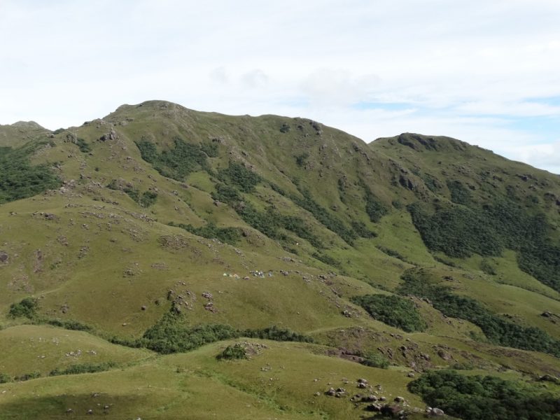 Epis&oacute;dio aconteceu nos campos do Quirir em Campo Alegre – Foto: Elvis Lozeiko/Arquivo Pessoal