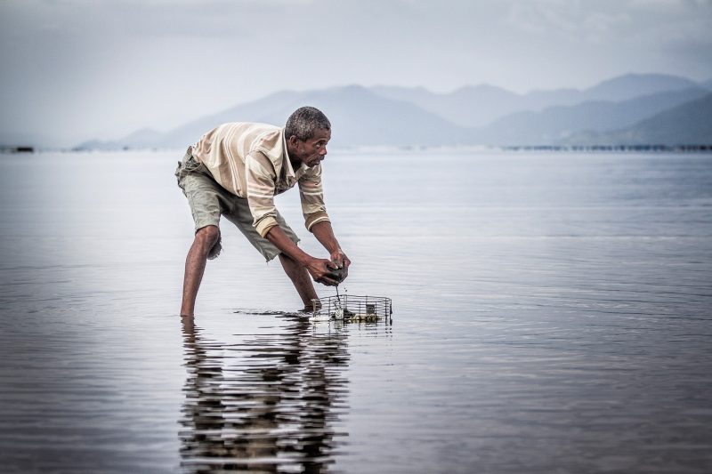 Catador de berbig&atilde;o na praia da Tapera, em Florian&oacute;polis – Foto: Flavio Tin/Arquivo/ND