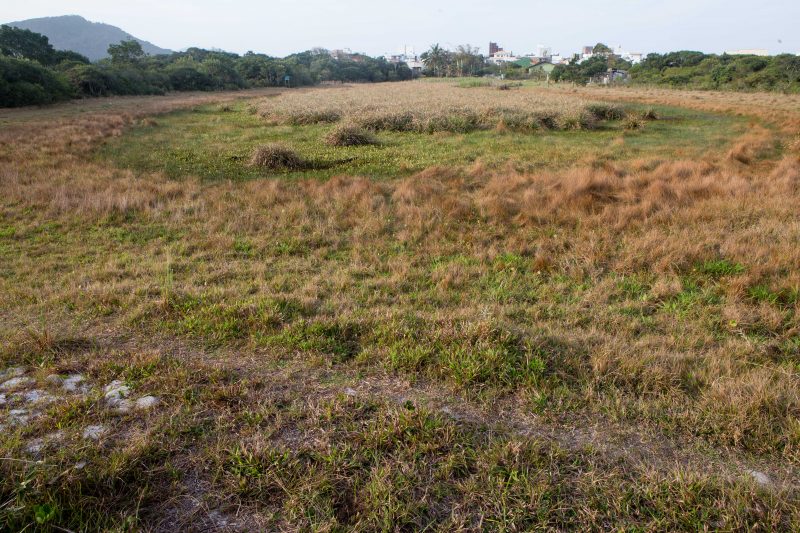 Unidade de conserva&ccedil;&atilde;o abriga tamb&eacute;m uma paleo-lagoa, mais antiga, com tr&ecirc;s tipos de vegeta&ccedil;&atilde;o; &aacute;gua fica quase invis&iacute;vel devido &agrave; estiagem – Flavio Tin/ND