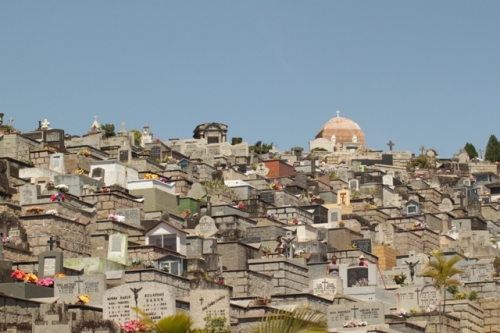 Prefeitura determinou data para a limpeza dos cemit&eacute;rios em Joinville – Foto: Fabr&iacute;cio Porto/Arquivo Pessoal/ND