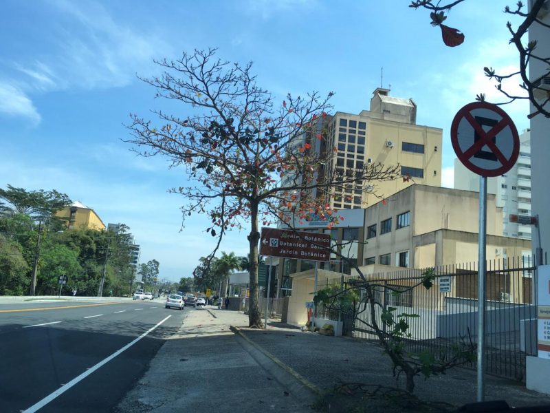 Placas de proibido estacionar foram colocadas na Avenida Admar Gonzaga – Foto: Felipe Alves/ND