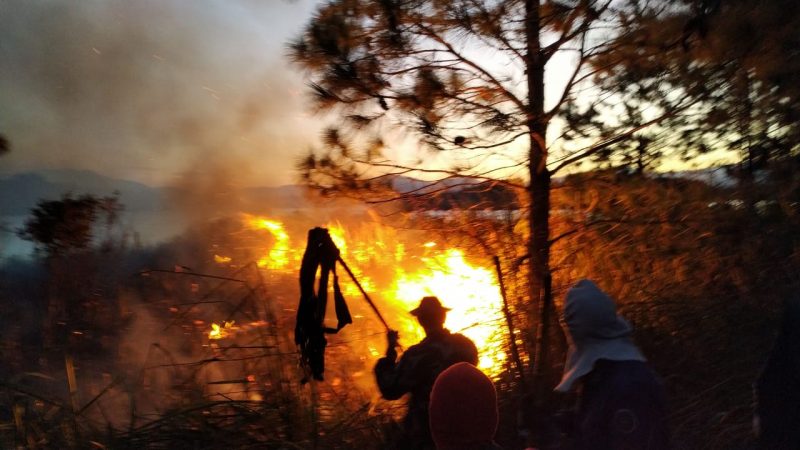O &uacute;ltimo foco de inc&ecirc;ndio, ainda n&atilde;o controlado totalmente, teve in&iacute;cio nesse domingo (13) – Foto: Pol&iacute;cia Ambiental/Divulga&ccedil;&atilde;o/ND