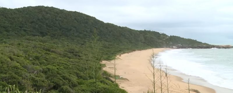 Projeto de Lei visa criar um parque na &uacute;nica praia intocada de Balne&aacute;rio Cambori&uacute; – Foto: RICTV/Reprodu&ccedil;&atilde;o