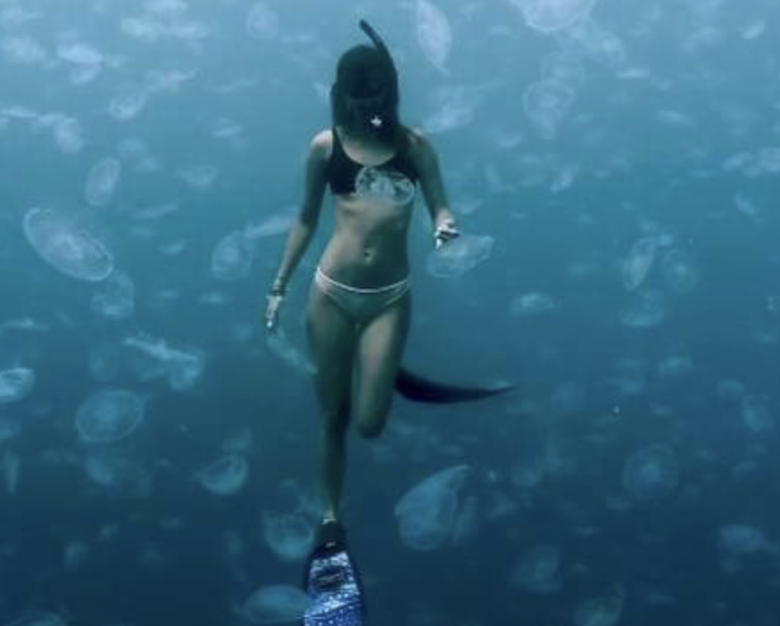 As imagens, por sua vez, foram feiras em Raja Ampat (Indonésia). - Elle Mayell
