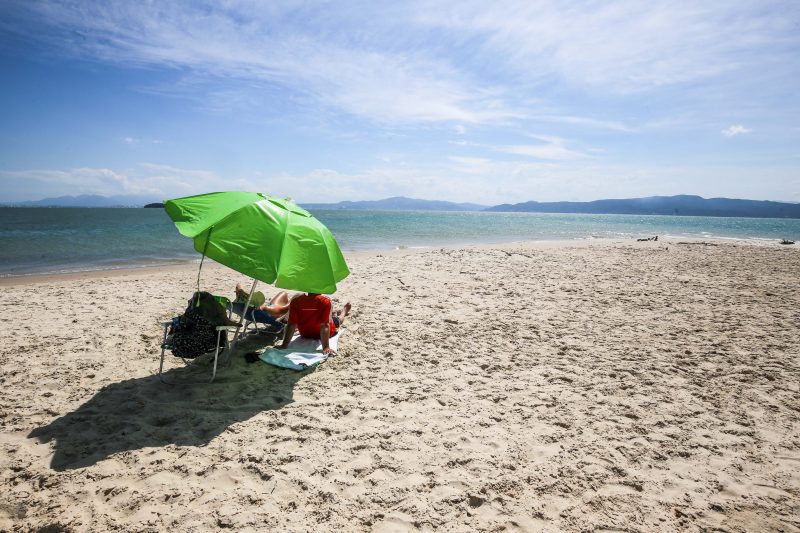 Praia da Daniela, no Norte de Florian&oacute;polis – Foto: Arquivo/Anderson Coelho/ND