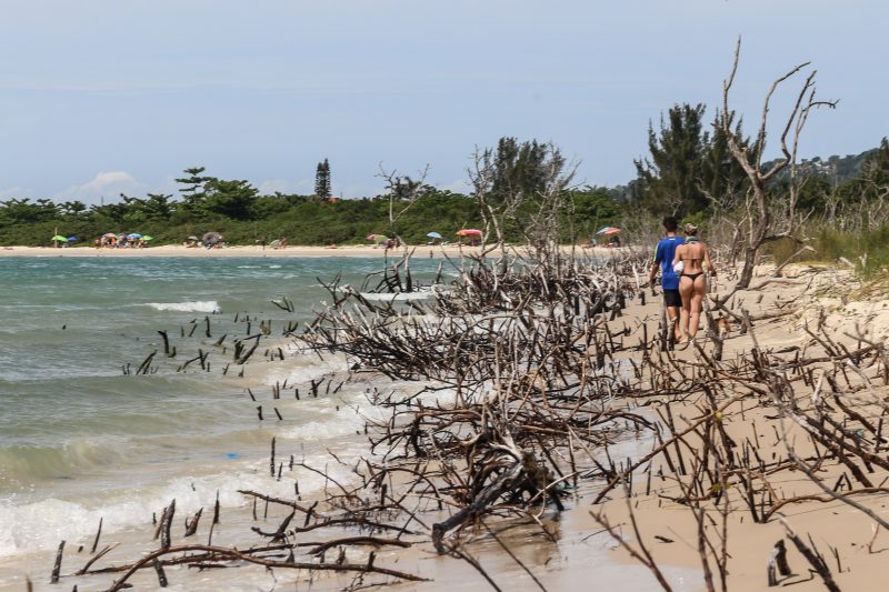 Praia da Daniela, no Norte da Ilha – Foto: Anderson Coelho/ND