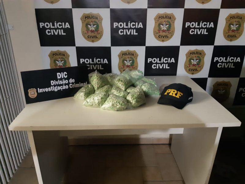 Suspeito foi detido com 25 mil balas de ecstasy – Foto: PRF/Divulga&ccedil;&atilde;o/ND