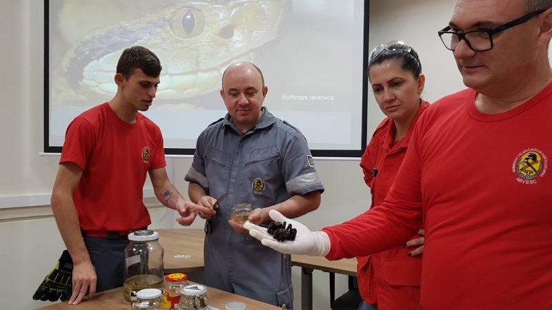 F&aacute;bio (ao centro) orienta sobre os cuidados que se deve ter ao encontrar cobras&nbsp; – Foto: Corpo de Bombeiros Volunt&aacute;rios, divulga&ccedil;&atilde;o