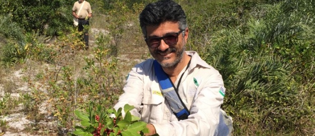 Pesquisadores da Furb trabalham h&aacute; 29 anos na pesquisa e descobriram dois insetos capazes de combater a planta que &eacute; considerada “praga” nos Estados Unidos – Foto: Furb/Divulga&ccedil;&atilde;o