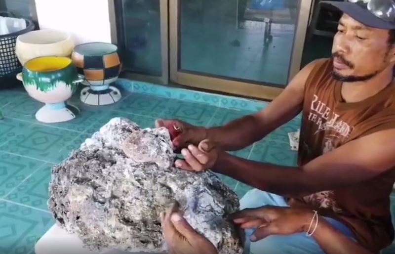 V&ocirc;mito de baleia &eacute; uma iguaria para a ind&uacute;stria de perfumes – Foto: Reprodu&ccedil;&atilde;o