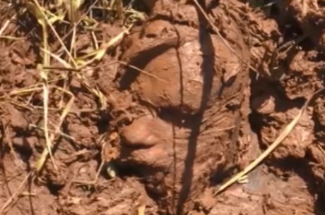 Resgate de sobrevivente de Brumadinho – Foto: Divulga&ccedil;&atilde;o/Redes Sociais/ND