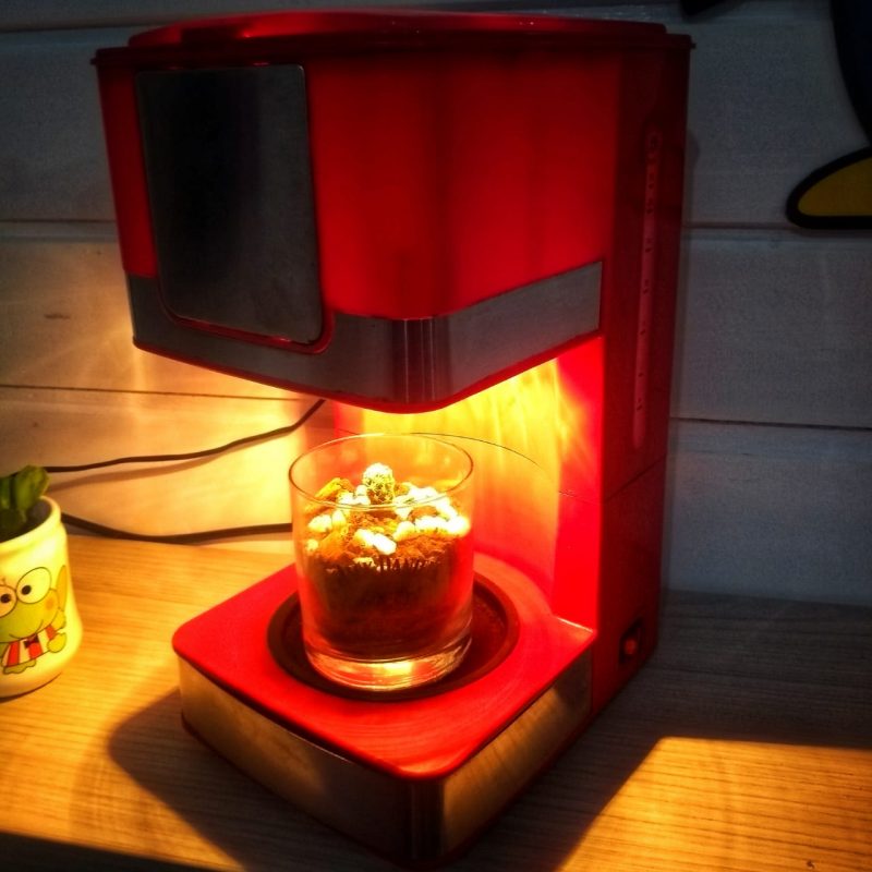 Pelas mãos habilidosas de Paula e Jacson, do Saúva Lab, uma cafeteira estragada virou uma luminária – Foto: Divulgação/ND