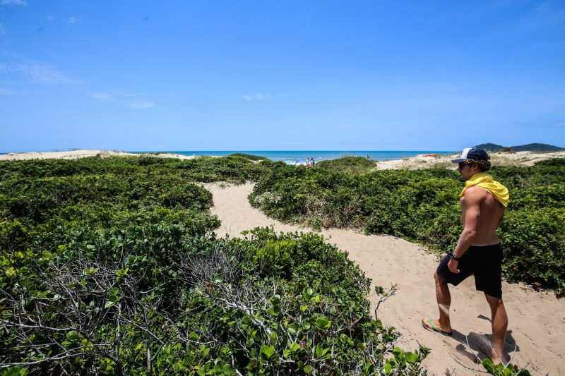 As restingas, presentes em diversas praias de Florian&oacute;polis, s&atilde;o exemplos de &aacute;reas de preserva&ccedil;&atilde;o permanente – Foto: Anderson Coelho/ND