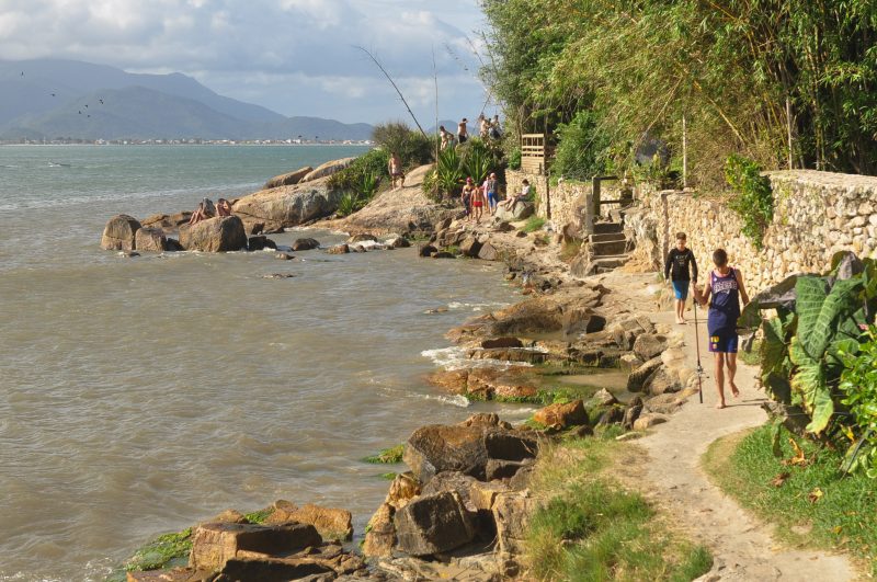 Há trilhas nos costões entre a Pinheira e a Guarda do Embaú – Foto: Gabriel Lain/ND