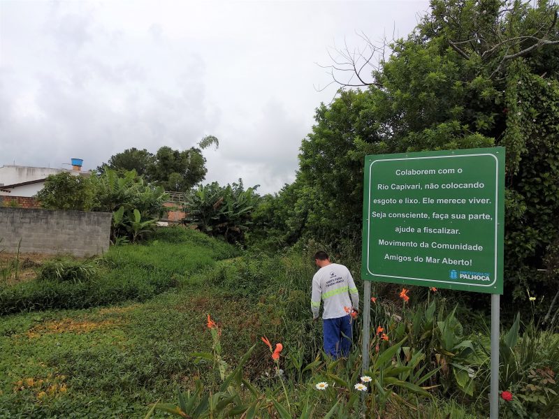Rio Capivari n&atilde;o pode ser fiscalizado devido ao excesso de vegeta&ccedil;&atilde;o – Foto: Marcela Ximenes/ND