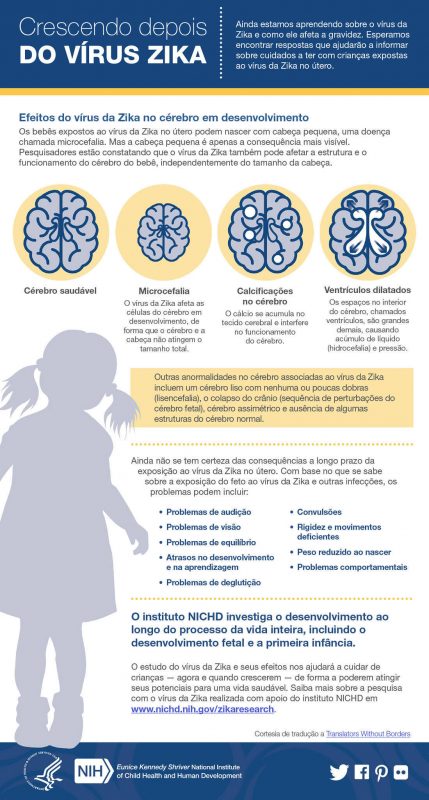 Zika – Foto: NIH/Divulga&ccedil;&atilde;o