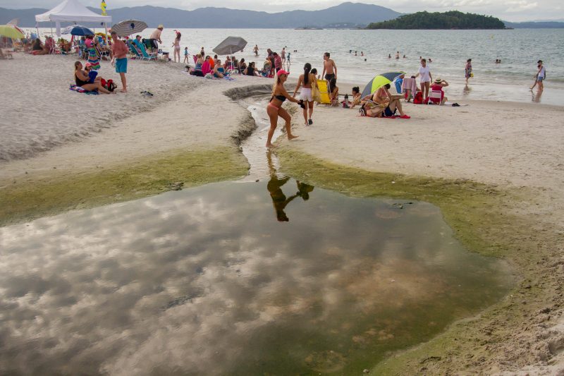 Norov&iacute;rus &eacute; o agente infeccioso respons&aacute;vel pelo aumento de casos; o parasita pode ser contra&iacute;do pelo contato da pessoa com alimentos, &aacute;gua e solo contaminado&nbsp; Arquivo: Flavio Tin/ND