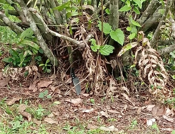 A faca utilizada no crime foi encontrada a cerca de 100 metros do local do crime – Foto: ND+