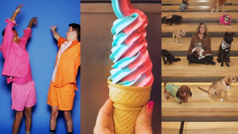 Videos – Foto: Reprodu&ccedil;&atilde;o/TikTok/ND