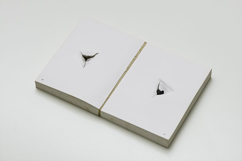 “Balada”, trabalho de Nuno Ramos, tamb&eacute;m em exposi&ccedil;&atilde;o – Foto: Edouard Fraipont_IC/Divulga&ccedil;&atilde;o/ND