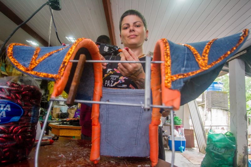 Kris Regina de Souza,de 39 anos, é carnavalesca da escola de samba Nação Guarani &#8211; Foto: Foto Flavio Tin/ND