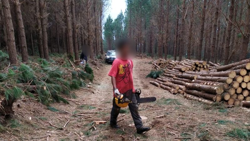 Flagrante foi no Oeste do Estado – Divulga&ccedil;&atilde;o/ND