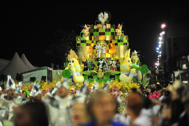 Desfile acontece no domingo e tr&ecirc;s escolas entram na avenida. – Foto: Gabriel Lain/ND