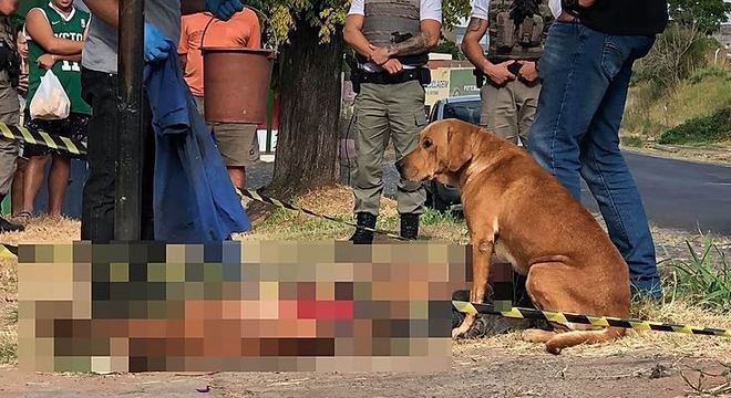 Scooby ficou ao lado de Rogerio até o corpo ser levado – Foto: Ralph Quevedo/Sentinela 24H/R7