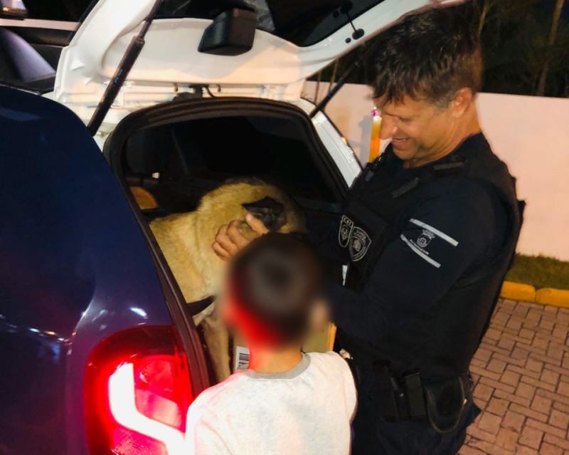 Para acalmar o garoto, os agentes convidaram a crian&ccedil;a para conhecer o cachorro de buscas – Foto: GMF/Divulga&ccedil;&atilde;o/ND