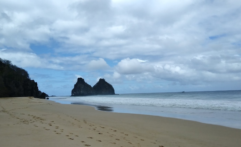 Turista de SC foi mordida pelo animal enquanto surfava – Foto: Reprodu&ccedil;&atilde;o/Google Maps