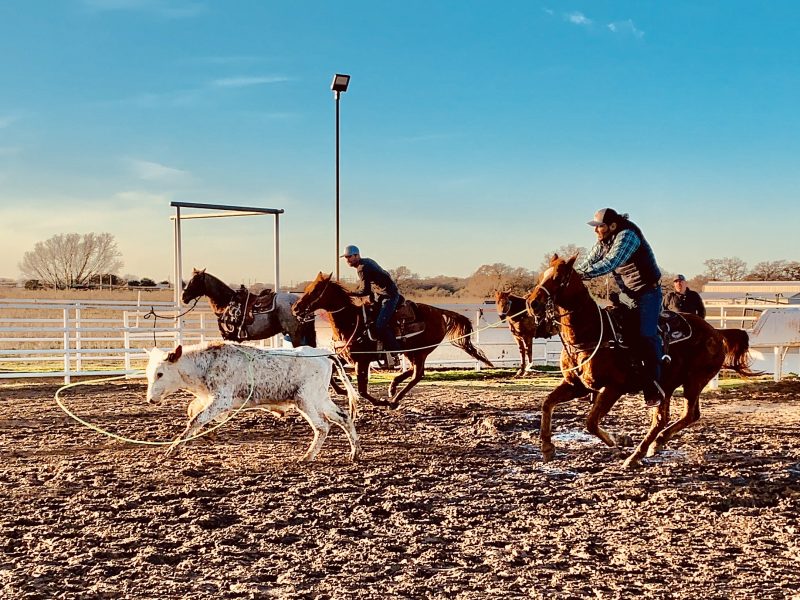 Raphael visitou o rancho de brasileiro, no Texas – Foto: Raphael Prata/Divulga&ccedil;&atilde;o/ND