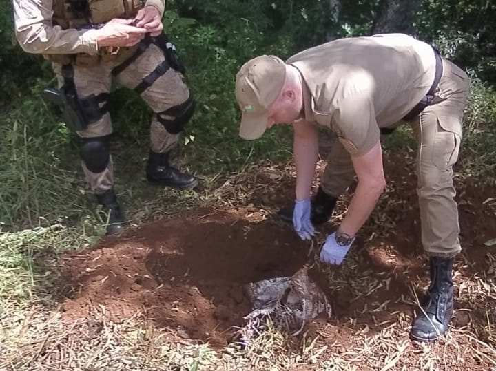Corpo estava enterrado no quintal de uma casa &#8211; Foto: Polícia Militar/Divulgação/ND