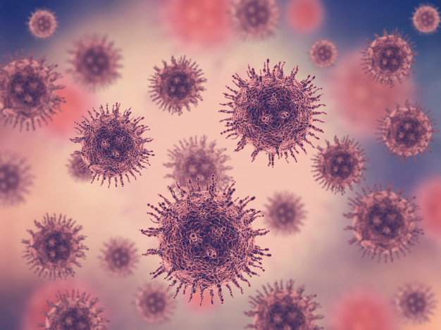 Anticorpo descoberto por cientistas evita entrada do coronavírus na célula &#8211; Foto: Reprodução/Freepik